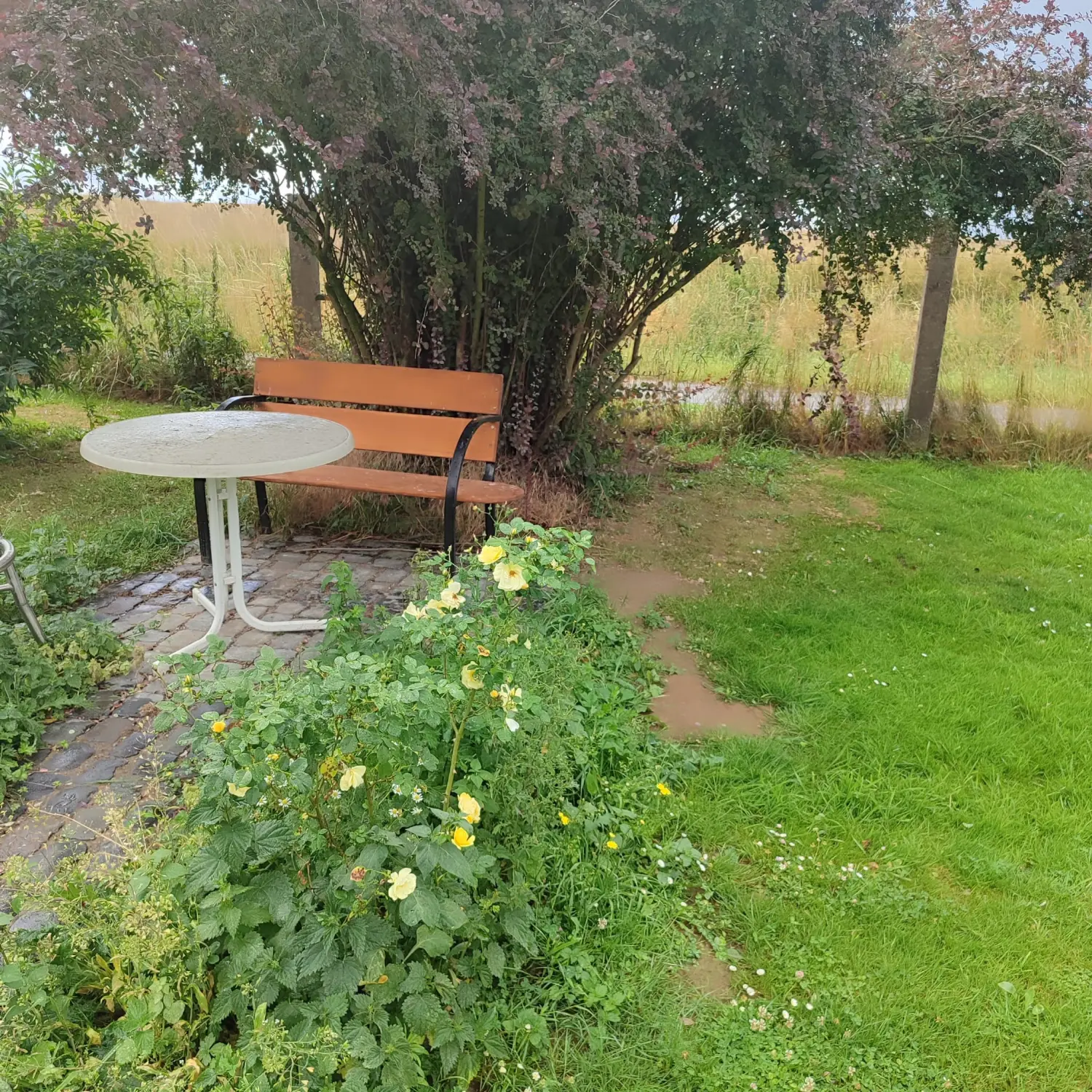 Individuelle Zusatzleistungen zuhause